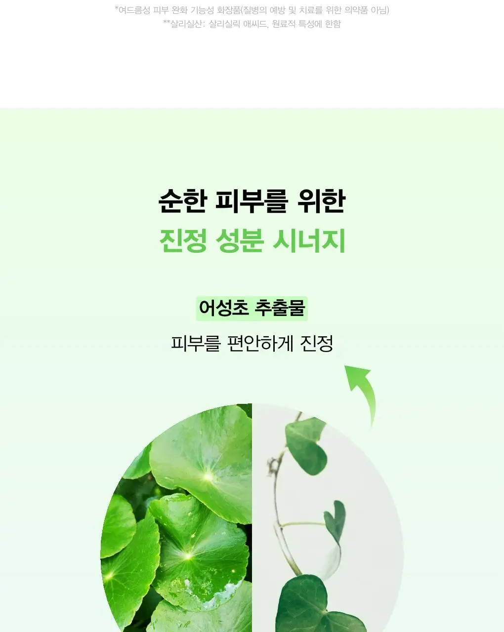 [약산성저자극] 아비브 아크네 폼 클렌저 어성초 폼 대용량 250ml 상세페이지 11